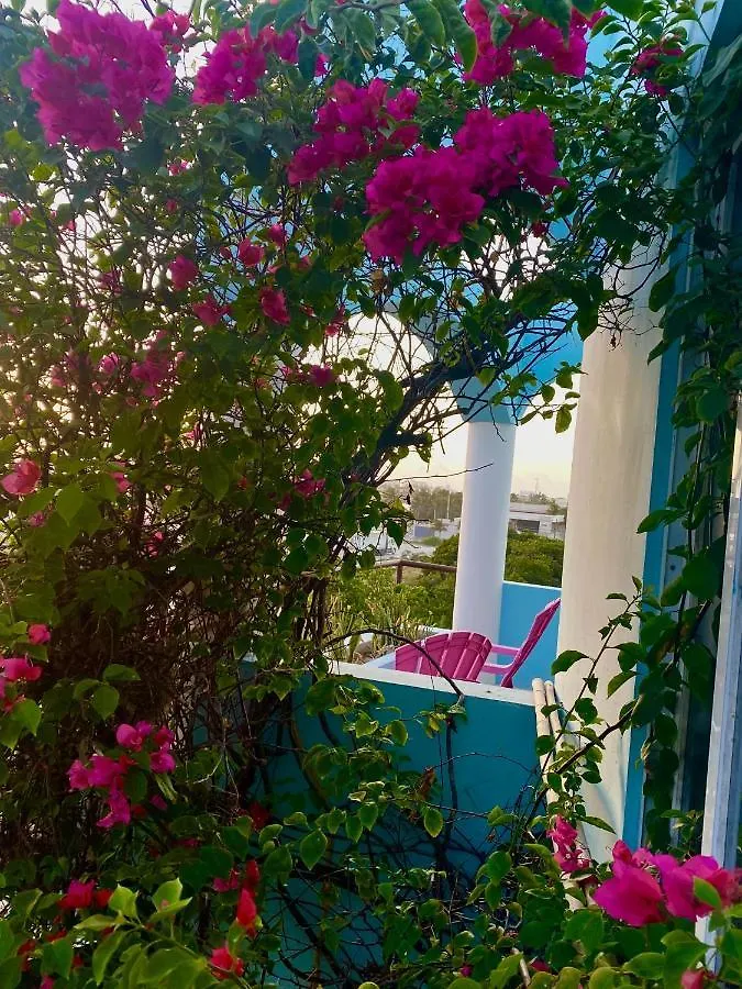 Apartment Casa Cielo Studio 2 With Detached Balcony Isla Mujeres
